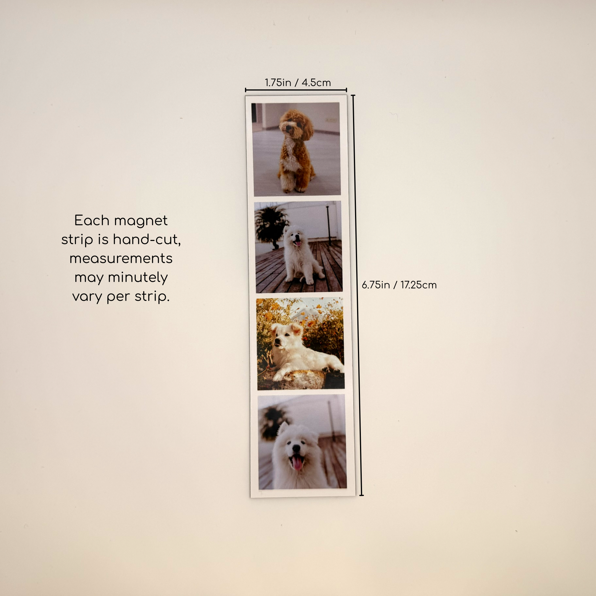 Custom Photo Magnet Strip