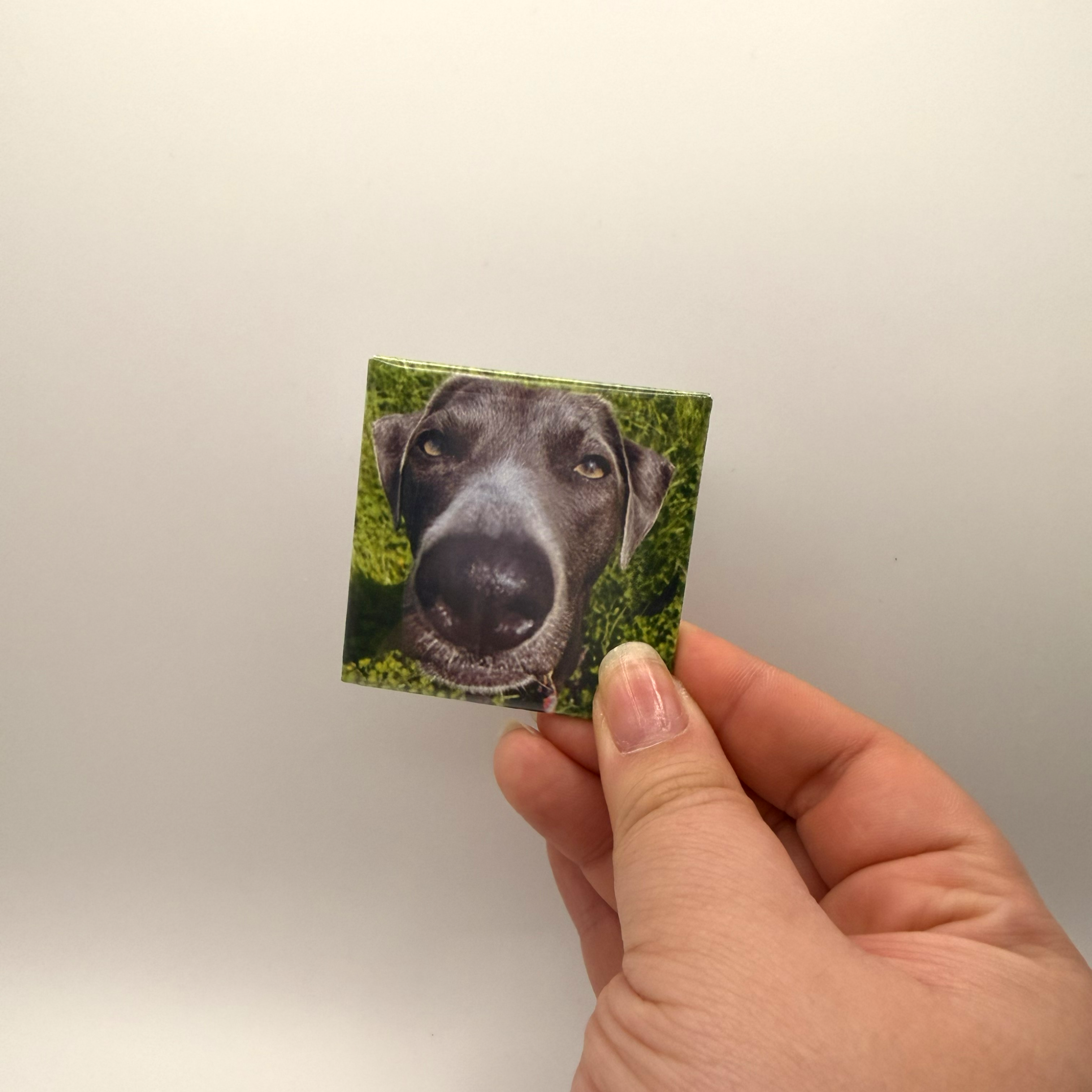 Custom Photo 2x2in Magnets