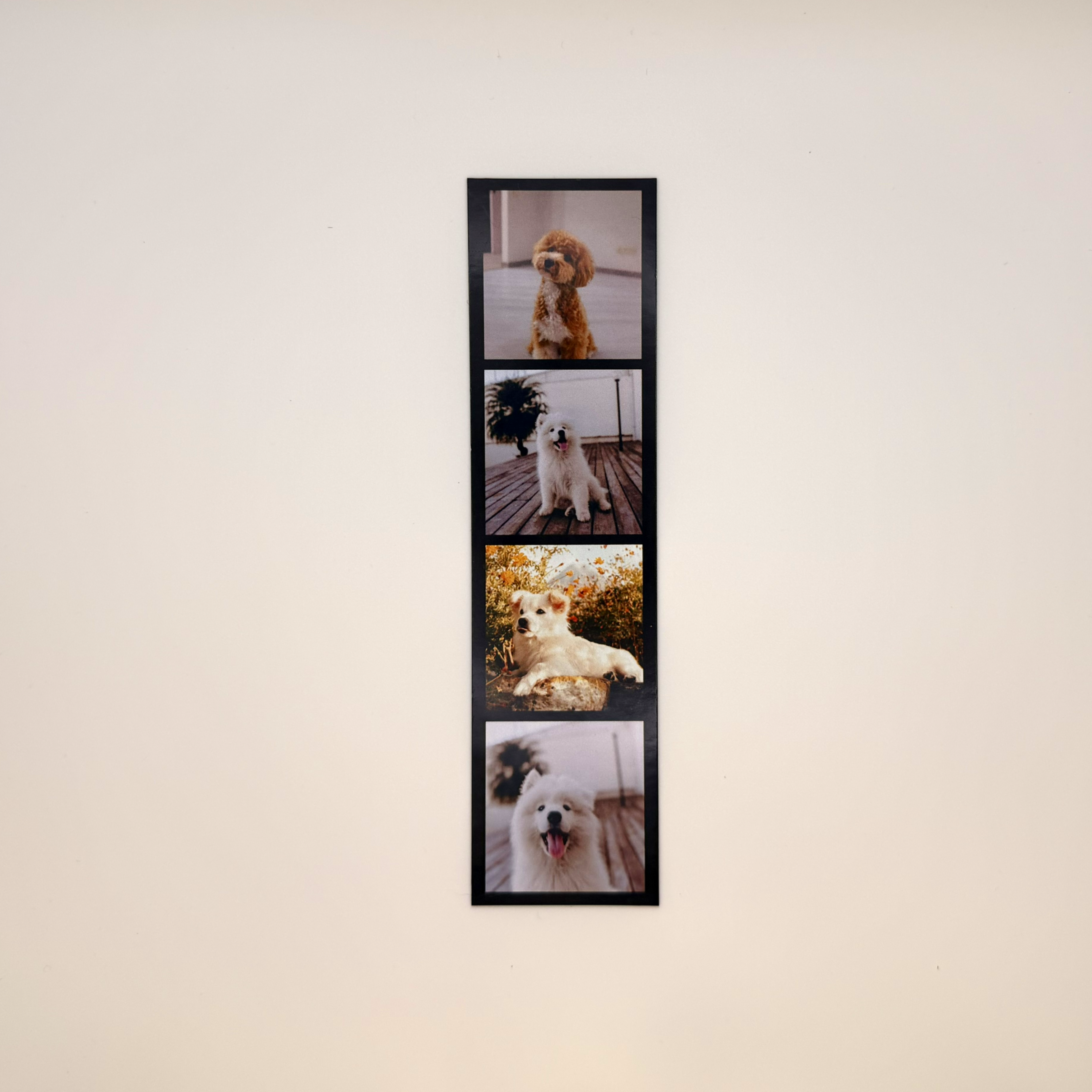 Custom Photo Magnet Strip