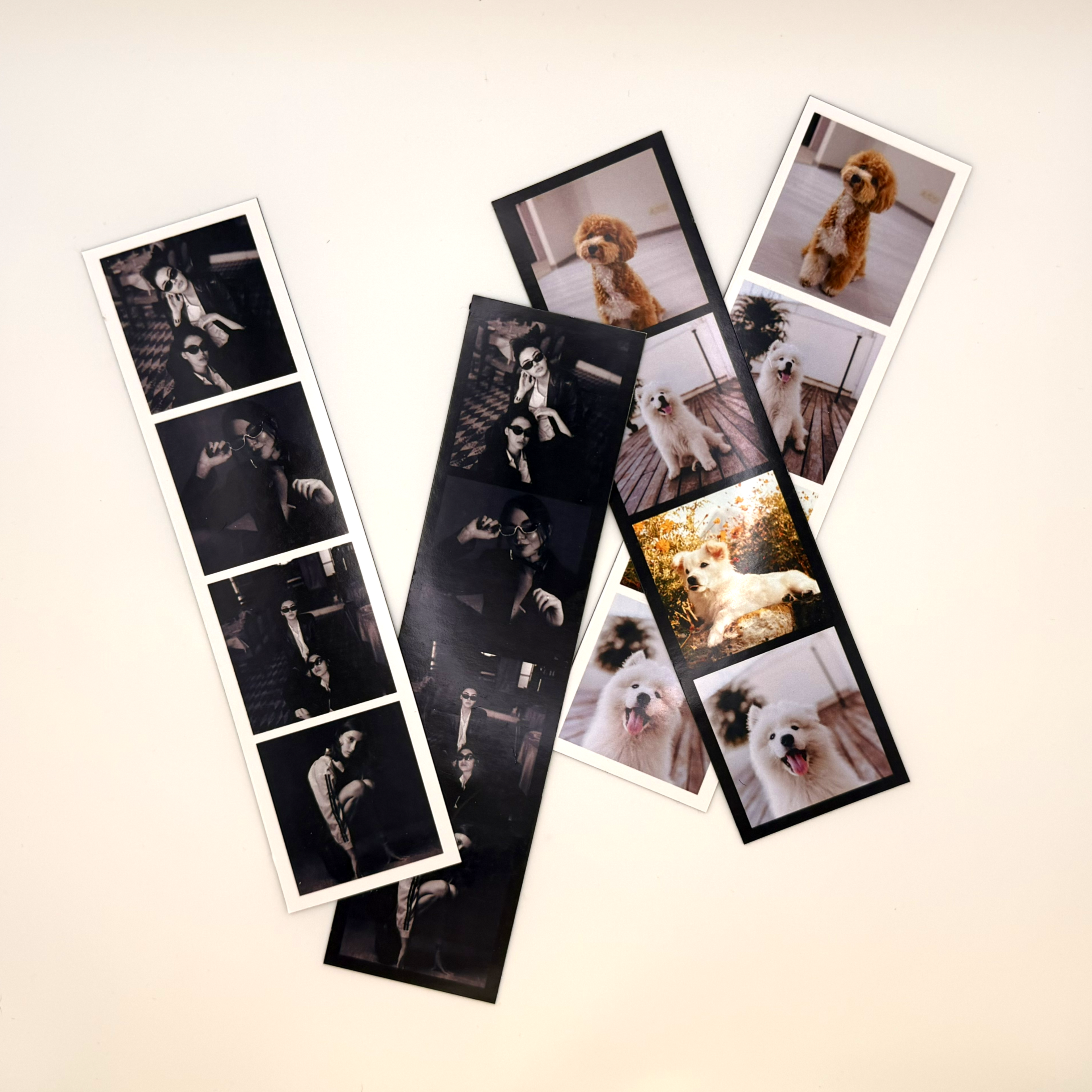 Custom Photo Magnet Strip